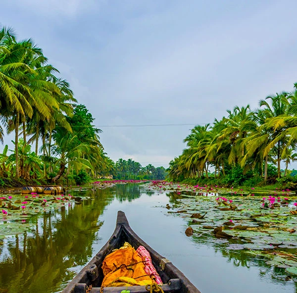 12 day South India Cultural & Backwater Tour